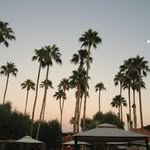 T Vance Watt - @tvancewatt - Instagram