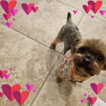 Vanda Johnson - @vanda003 - Instagram