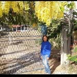 Vanda Xavier - @vanda.xavier.1610 - Instagram