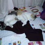 vane - @vanesabianchi_5 - Instagram