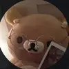 Vanessa - @vanessaadan56 - TikTok
