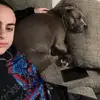 vanessadan712 - @vanessadan712 - TikTok