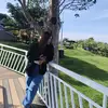 Vanessa_Alejandre - @vanessa_alejandre - TikTok
