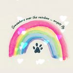 Vanessa Ames - @furmommynessa - Instagram