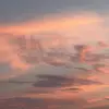 vanessarreguin - @vanessarreguin - TikTok