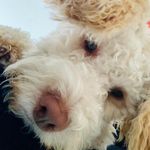 Vanessa Atkinson - @vanessa.atkinson.1975 - Instagram