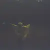 vanessa - @vanessa_baca - TikTok