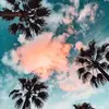 Vanessa Barba - @vanessabarba632 - TikTok