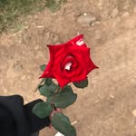 Vanessa bedolla - @bedolla2773 - Instagram