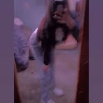Vanessa Bedolla - @bedolla4664 - Instagram