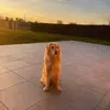 Vanessa Benedetti - @vanessa.benedetti91 - TikTok