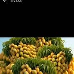 Vanessa Taty Benoho - Facebook