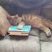 Vanessa Benoit - Facebook