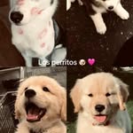 Vanessa Berrios - @vane2025746 - Instagram