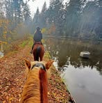 Vanessa Binder - Facebook