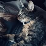 Vanessa Bittner - @vanessa097666 - Instagram