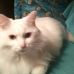 Vanessa Boling - Facebook