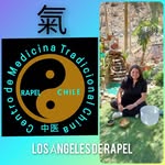 Vanessa Bou Terapeuta MTCh - @medicinachina_riorapel - Instagram