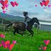 Vanessa Bowles - Facebook