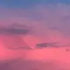Vanessa Bracho - @vanessa.bracho82 - TikTok