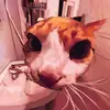 vanessa browne - @vanessa.browne2 - TikTok