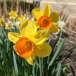 Vanessa Button - @mrsbuttoninschool - Instagram