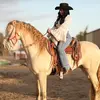 Vanessa - @vanessacabrera177 - TikTok