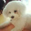 vanessacanning4 - @vanessacanning4 - TikTok