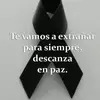 vanessachain5 - @vanessachain5 - TikTok