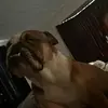 Conner.vanessa - @conner.vanessa - TikTok