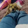 Vanessa Cubas - @vanessacubas8 - TikTok