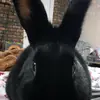 Nessie - @vanessa.daly - TikTok