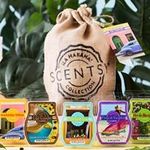 Independent Scentsy Consultant - @vanessa.dill_scentsyconsultant - Instagram