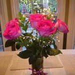 Vanessa Dolan - @jodo1961 - Instagram