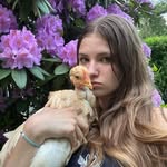 Vanessa Dolansky - @vanessadolansky - Instagram