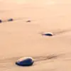 VanessaDolan5622 - @vanessadolan5622 - TikTok
