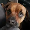 vanessadolan80 - @vanessadolan80 - TikTok