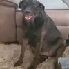 vanessadonelson44 - @vanessadonelson44 - TikTok