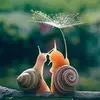 Vanessa Dowdy913 - @vanessadowdy6286 - TikTok