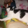 vanessadufft656 - @vanessadufft656 - TikTok