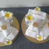 Vanessa Dumont - @vanessa.dumont46 - TikTok