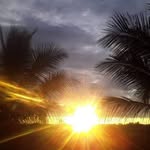 Vanessa Edson - @vanessa.edson.165 - Instagram