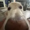 🚐essa! - @vanessa.edwards07 - TikTok