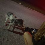 Vanessa<3 - @vanessa._.ellinger - Instagram