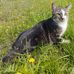 Wanessa Olczak - Facebook