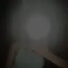 rawr - @elyse_vanessa - TikTok