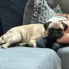 vanessa person - @vanessa_person - TikTok