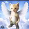 vanessaescoto876 - @vanessaescoto876 - TikTok