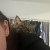 Vanessa - @vanessa.ester - TikTok