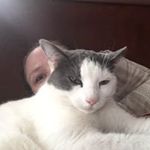 Vanessa Farrell - @v7farrell - Instagram